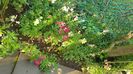 IMG-20230725-WA0056