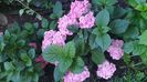 IMG-20230725-WA0095