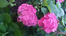 IMG-20230725-WA0093