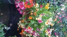 IMG-20230725-WA0085