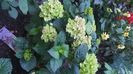 IMG-20230725-WA0096