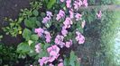 IMG-20230725-WA0089