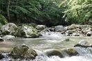 1 IMG_2669