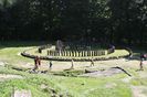 1 IMG_3037