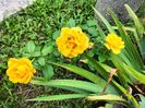 IMG20230727114718