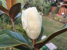 IMG20230719075924