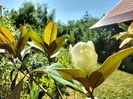 IMG20230718162117