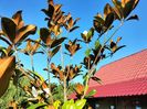 IMG20230716081221
