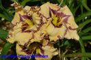 Wild Irish Heart - Trimmer 2012 E dine