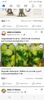 Screenshot_20230807_085507_Facebook