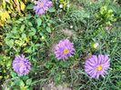 IMG20230818084655