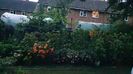 IMG-20230728-WA0074