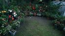 IMG-20230728-WA0057
