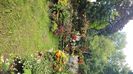 IMG-20230727-WA0011