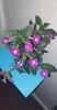 received_250401124500429