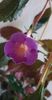 received_1743119632786287