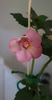 received_598327545831887