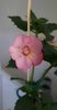 received_808935754108527