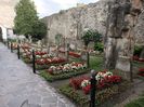 Img.2023.08.17