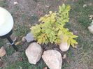 IMG20230825183608