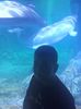 IMG20230831131017