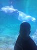 IMG20230831131014