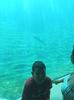 IMG20230831105311