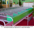 space05-06