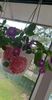 received_868320154881405