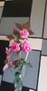 received_179971568451847