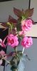 received_676434901080325