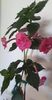 received_1373730380243610