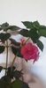 received_1449537922506496