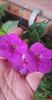 received_7220913744588711