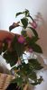 received_850341246505134