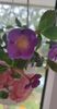 received_1007813973871955