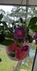 received_828231158801614