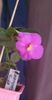 received_333605769144490