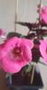 received_7231537230207193