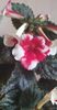 received_1049308976078814