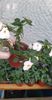 received_1025467108640590
