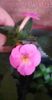 received_1340042963386235