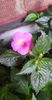 received_276191495205101