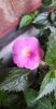 received_1714426392407562