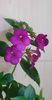 received_693889742768376