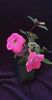 received_682347577100457