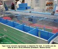 space06-04