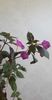 received_687554716627898