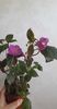 received_688565056470314