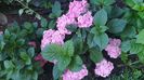 IMG-20230725-WA0095